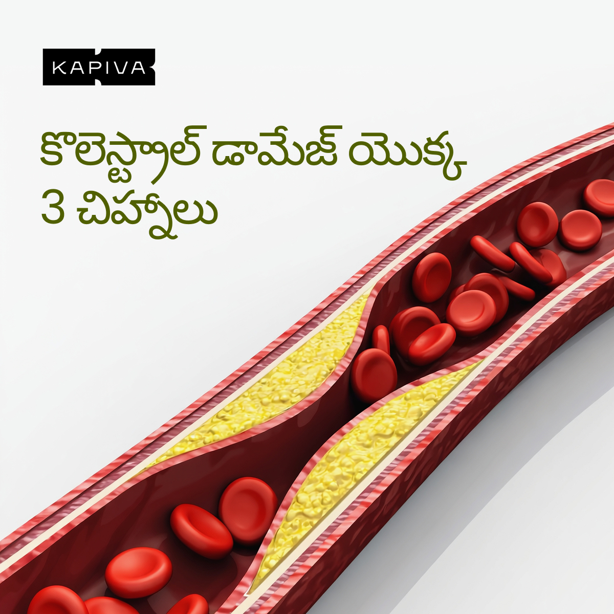 Chronic Health Solutions by Kapiva Facebook ad