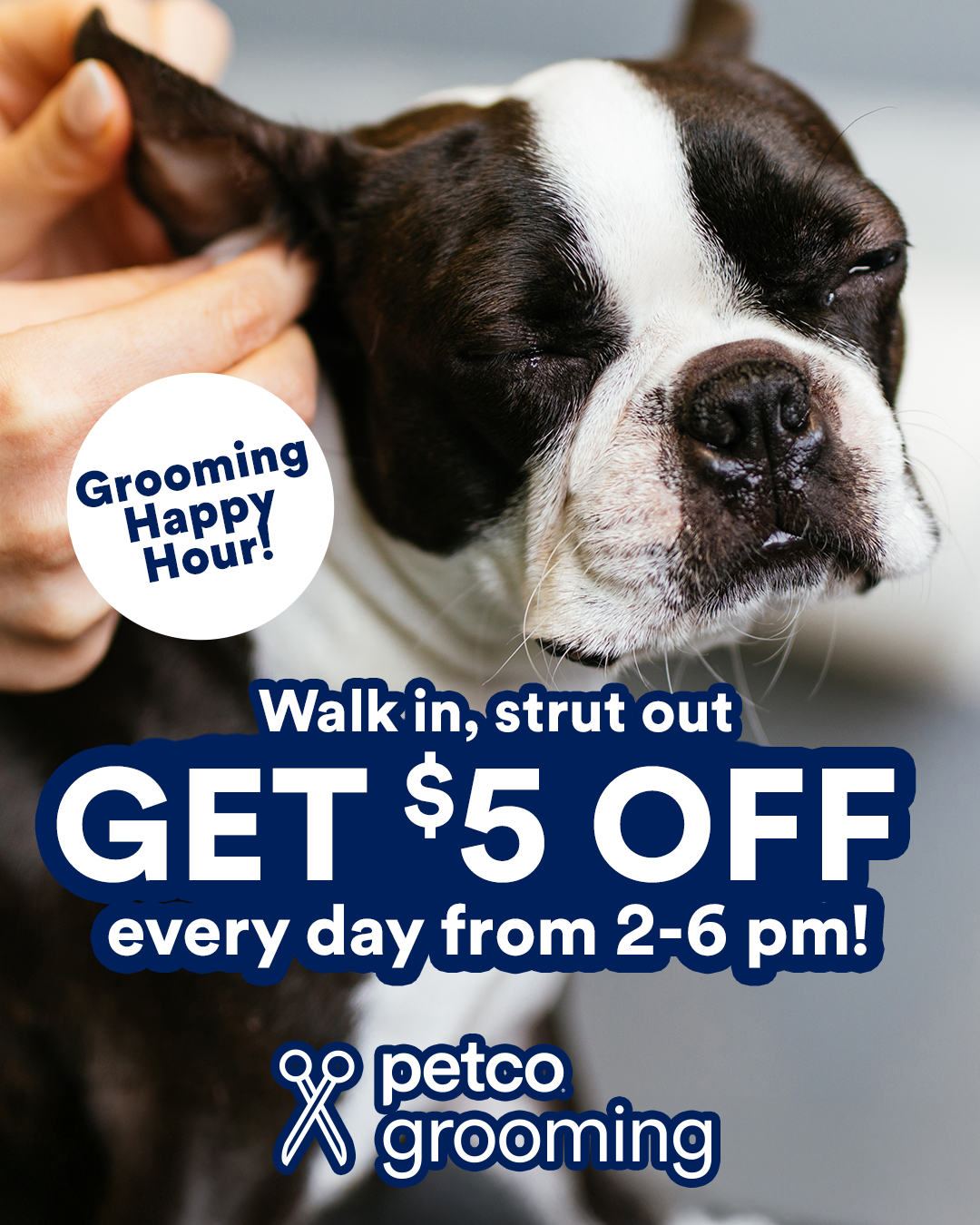 Petco Facebook ad