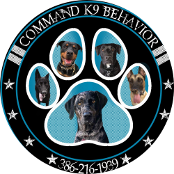 Command K9 Behavior Facebook ad: Command K9 Behavior -