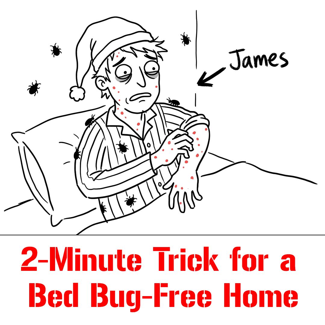 Ultimate Bed Bug Solution Facebook ad