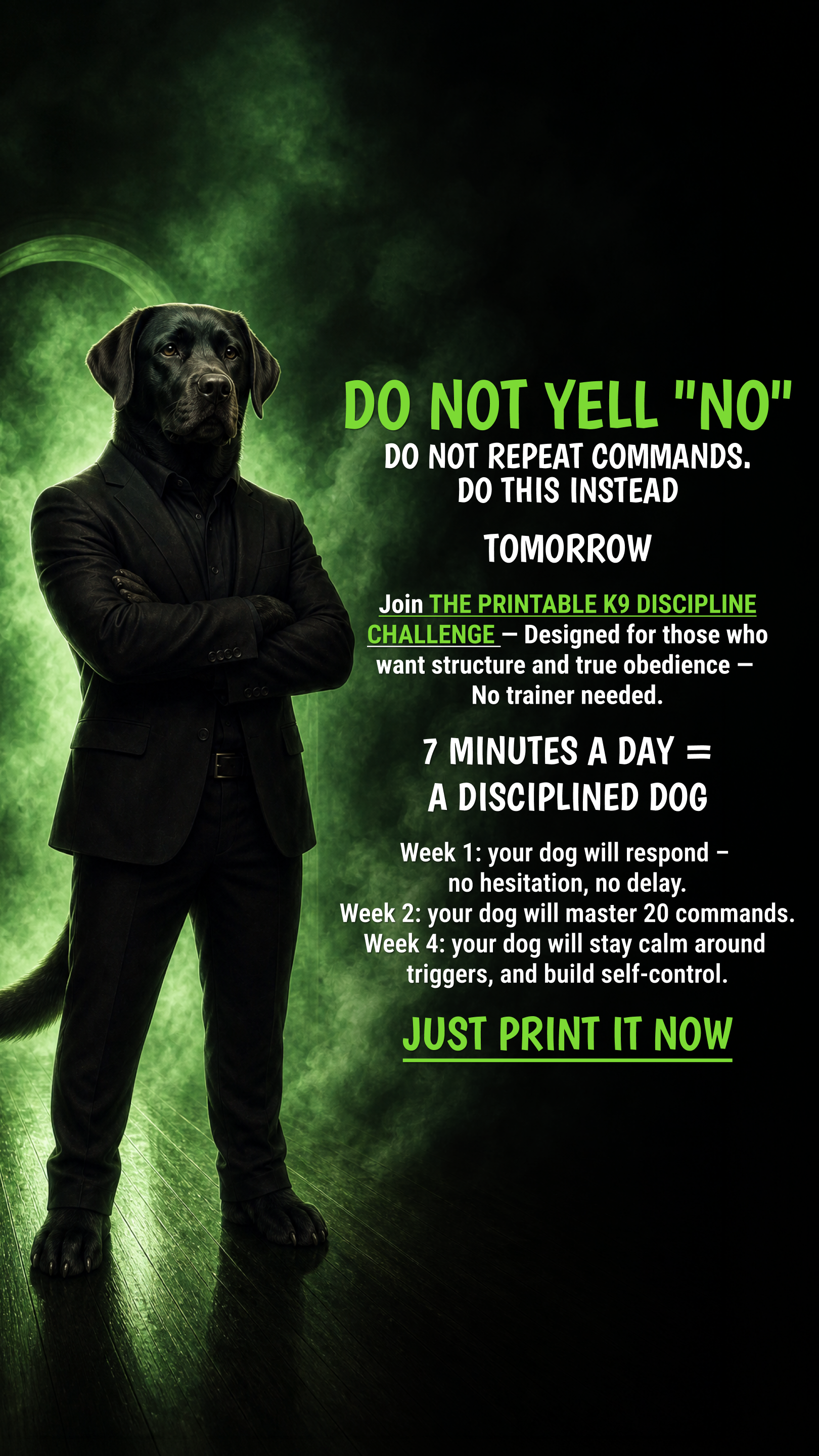 Dog Training Program Facebook ad: Take the lead. Start now