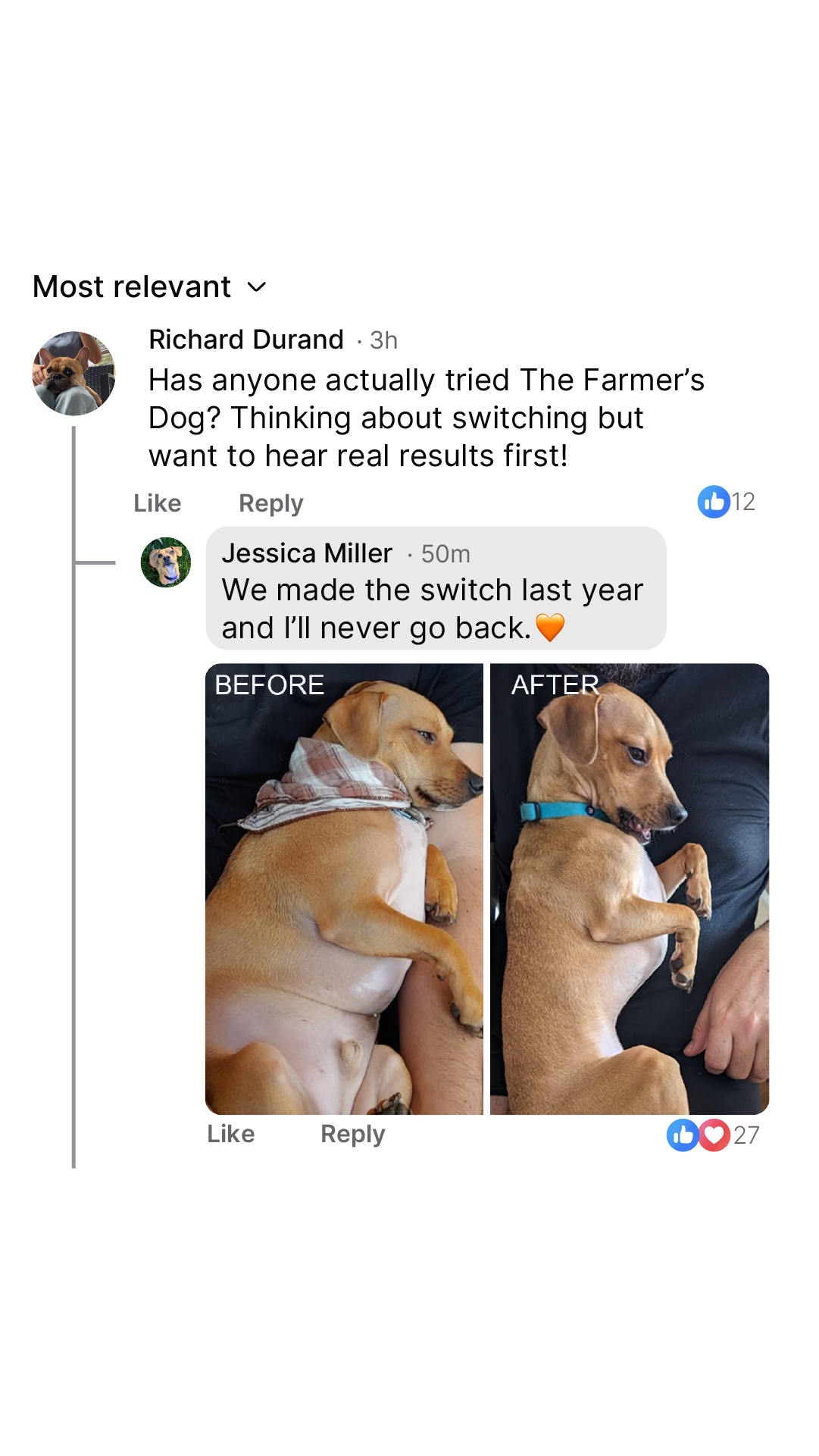 Dog Wellness Dispatch Facebook ad