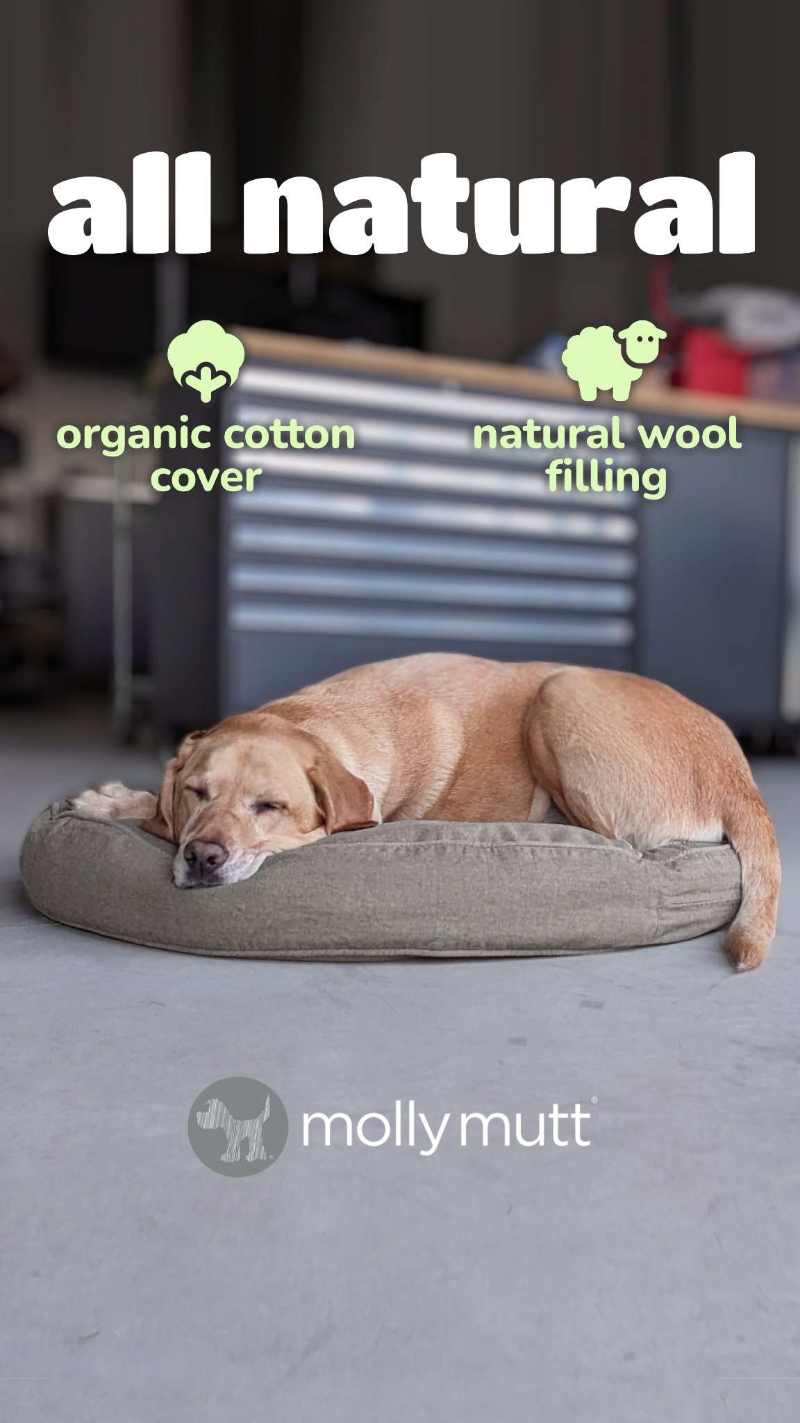 Molly Mutt Facebook ad