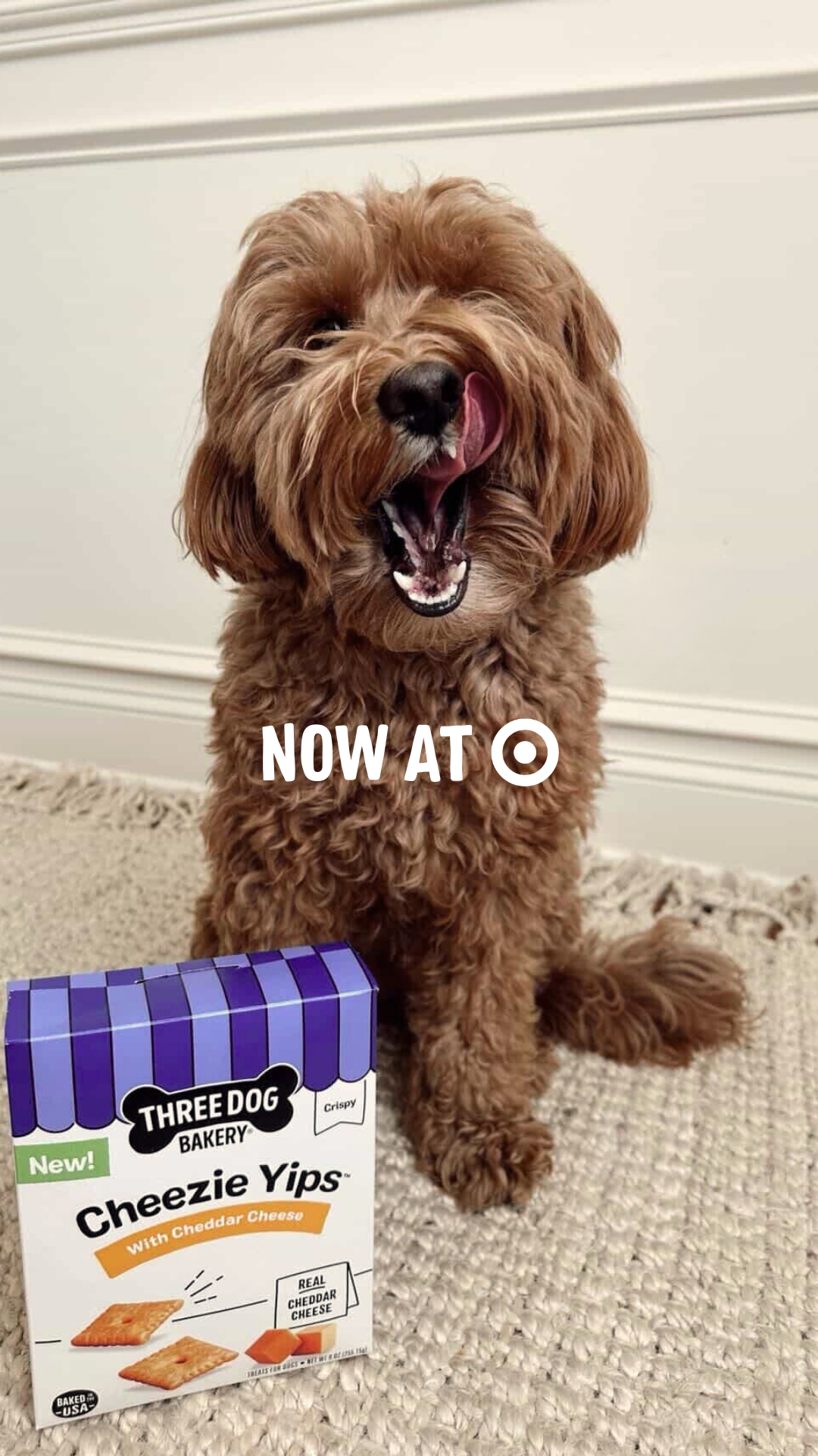 Three Dog Bakery Facebook ad
