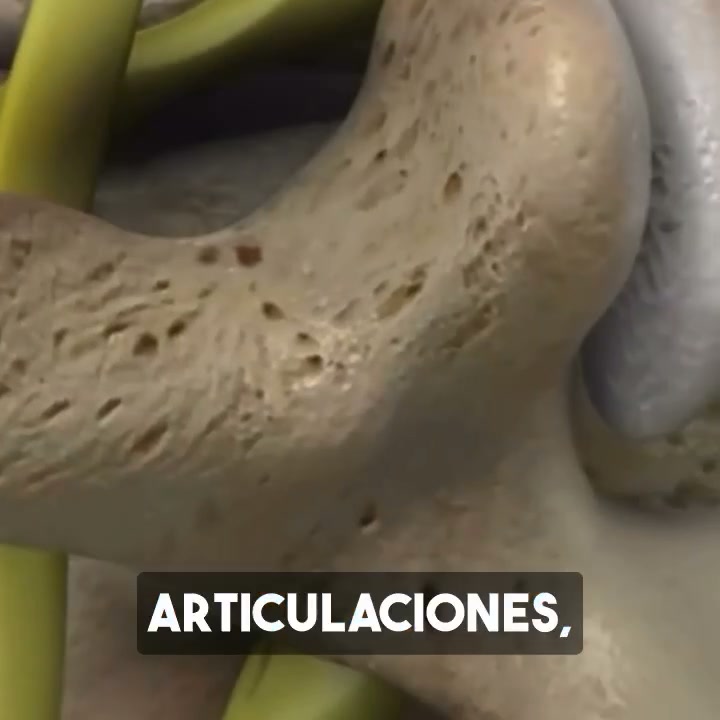 Recuperación de articulaciones - México Facebook ad: ¿Tus articulaciones intentan decirte algo?