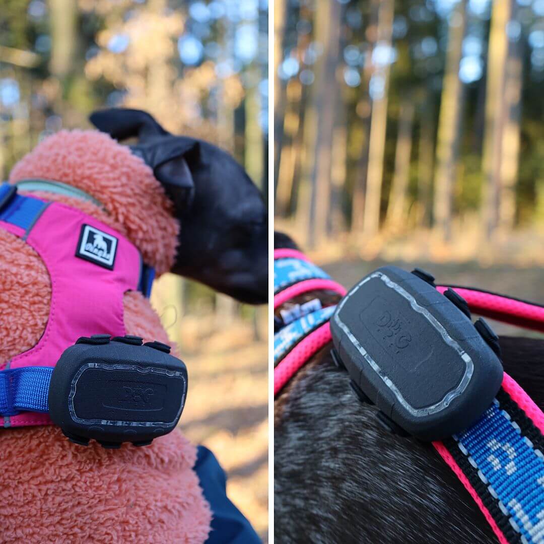 DOG TRACE Official Facebook ad
