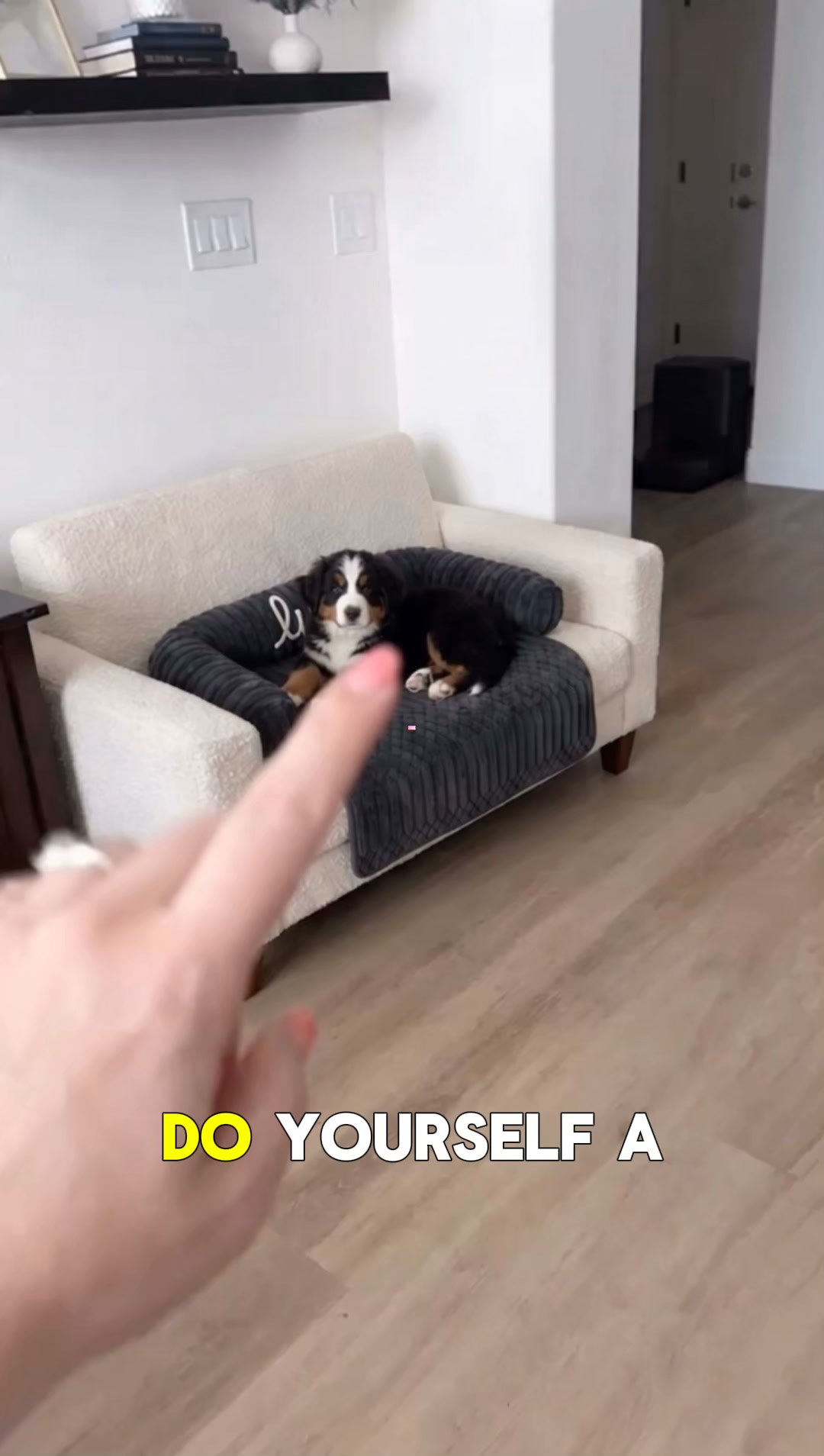 Aussie Pet Facebook ad: #1 Dog Bed