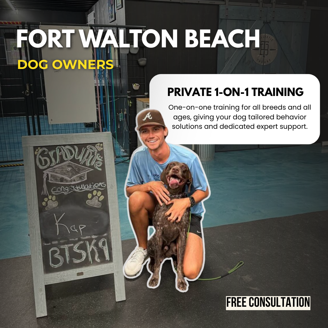 BTS K9 Dog Training Facebook ad