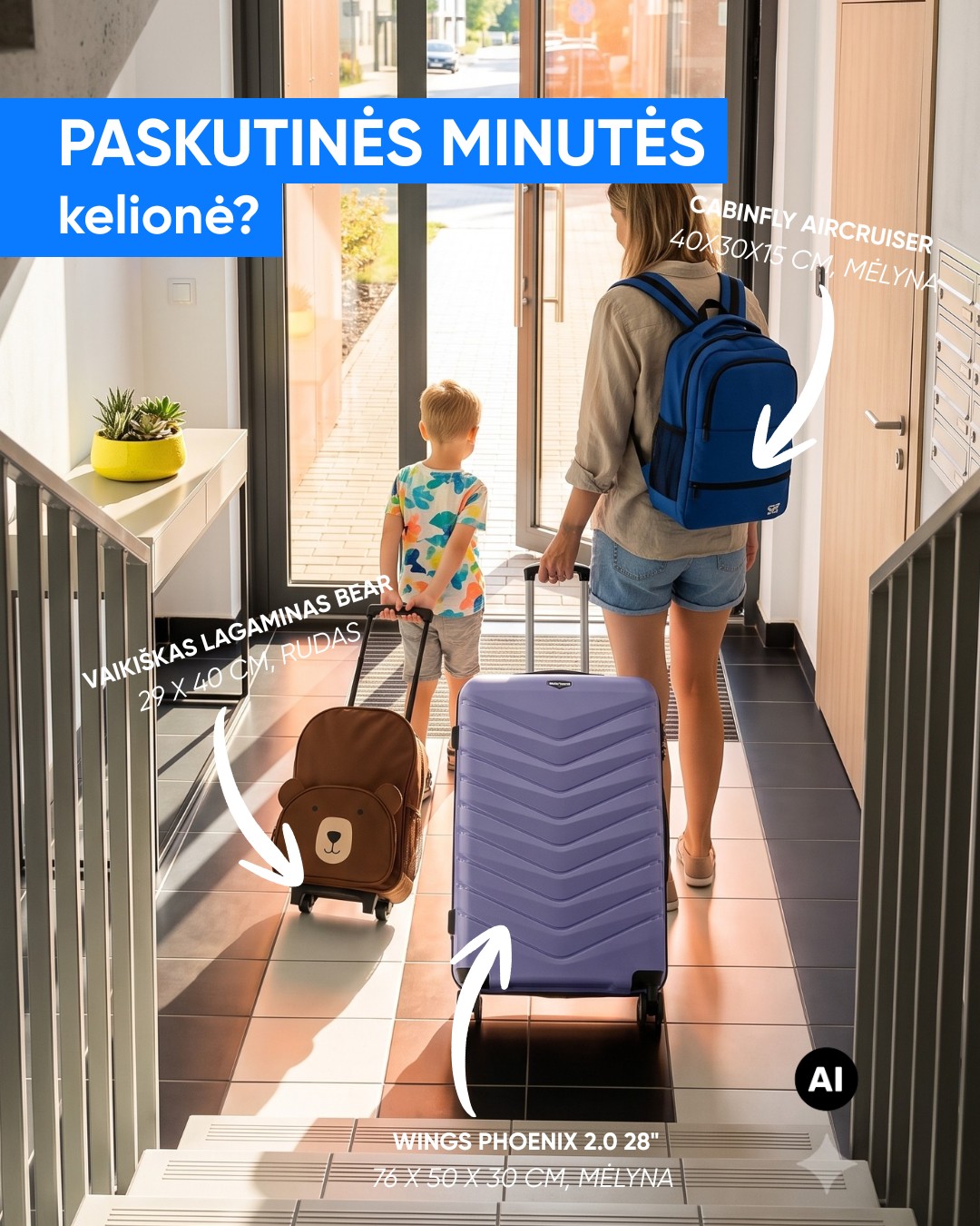 Pigu.lt Facebook ad