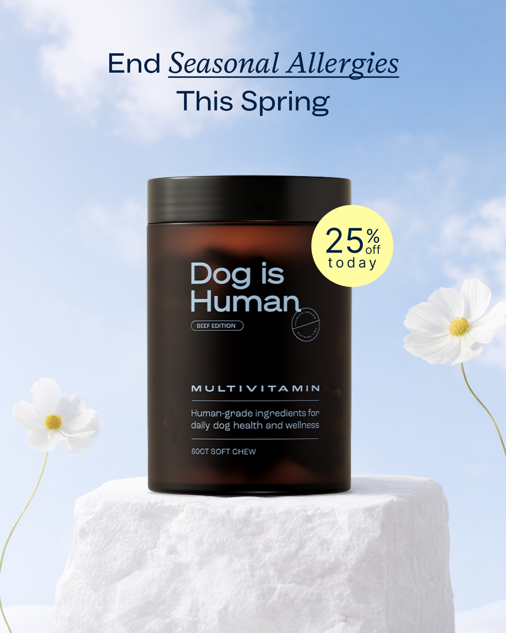 The Wise Vet Facebook ad