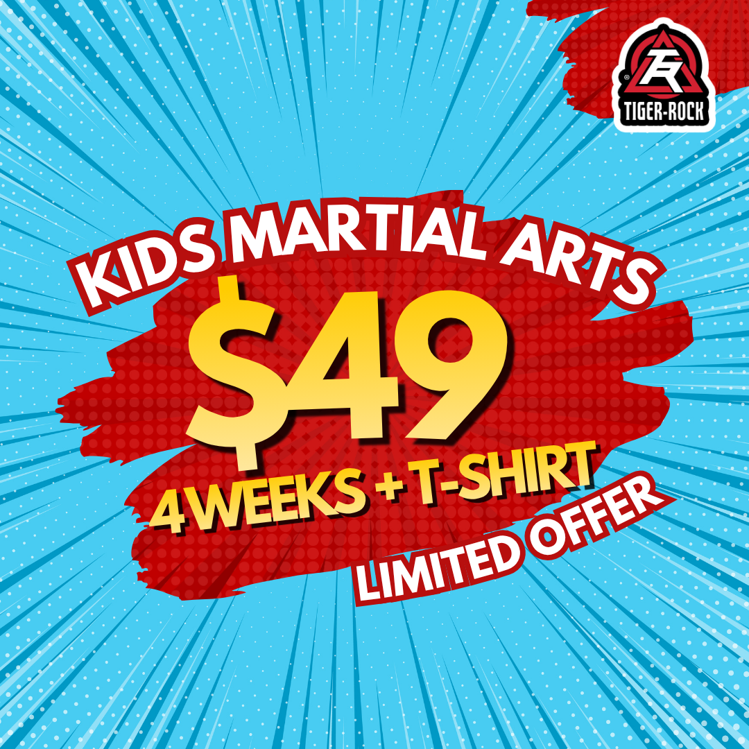 Tiger Rock Martial Arts of Katy South Facebook ad
