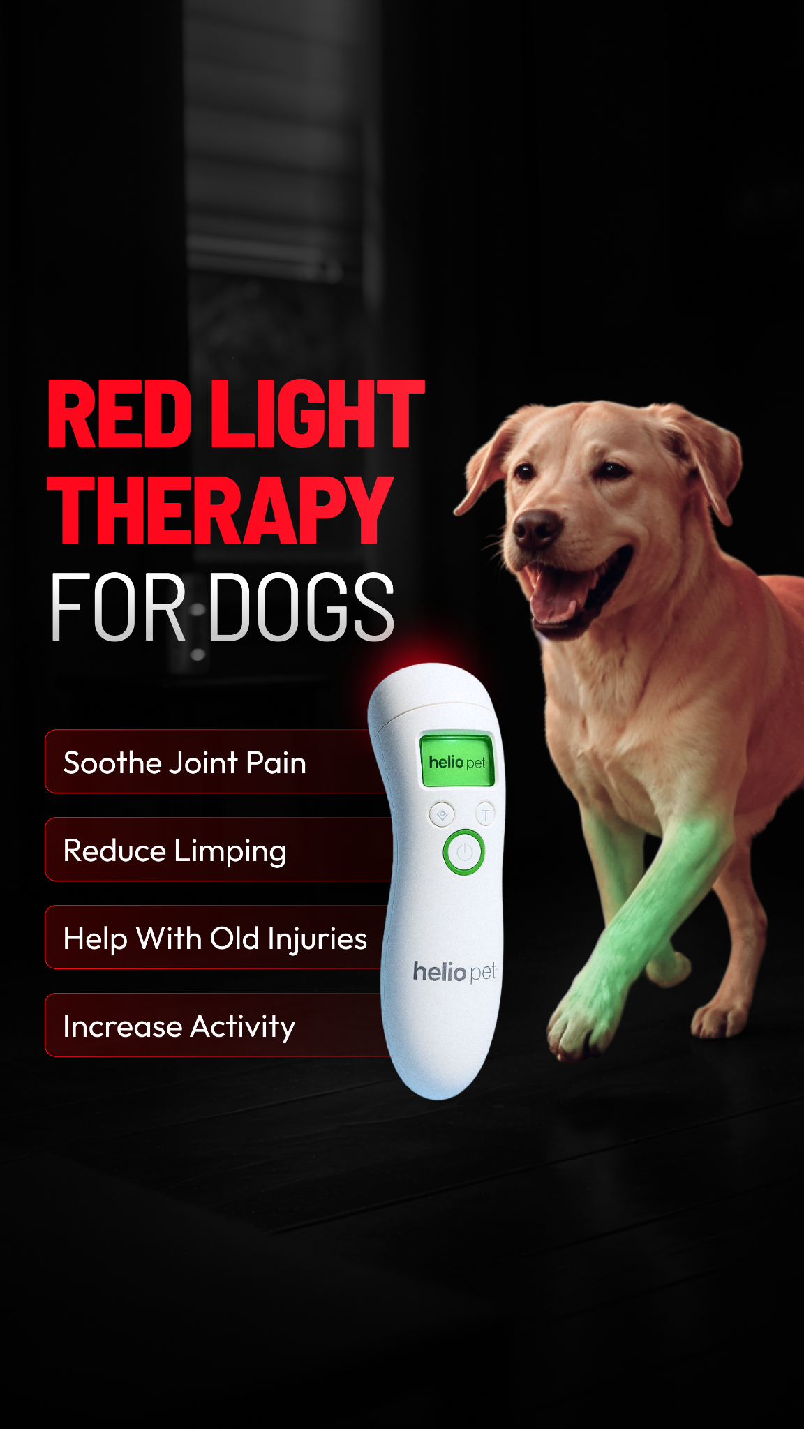 Helio Pet Facebook ad