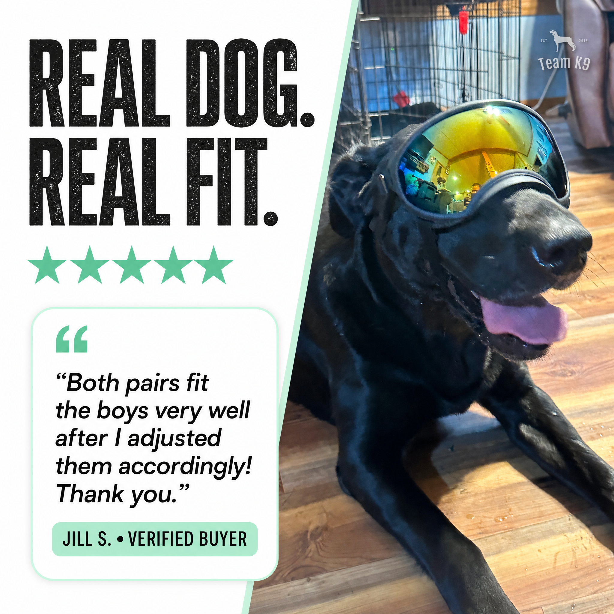 Team K9 Facebook ad