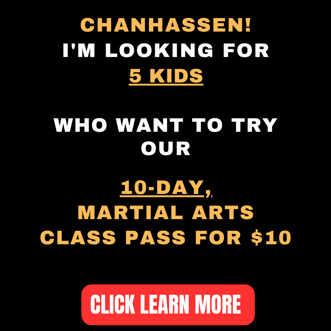 Metro Karate & Jiu Jitsu Academy Facebook ad: Want a 10-Day, Kids Martial Arts Class Pass For $10?