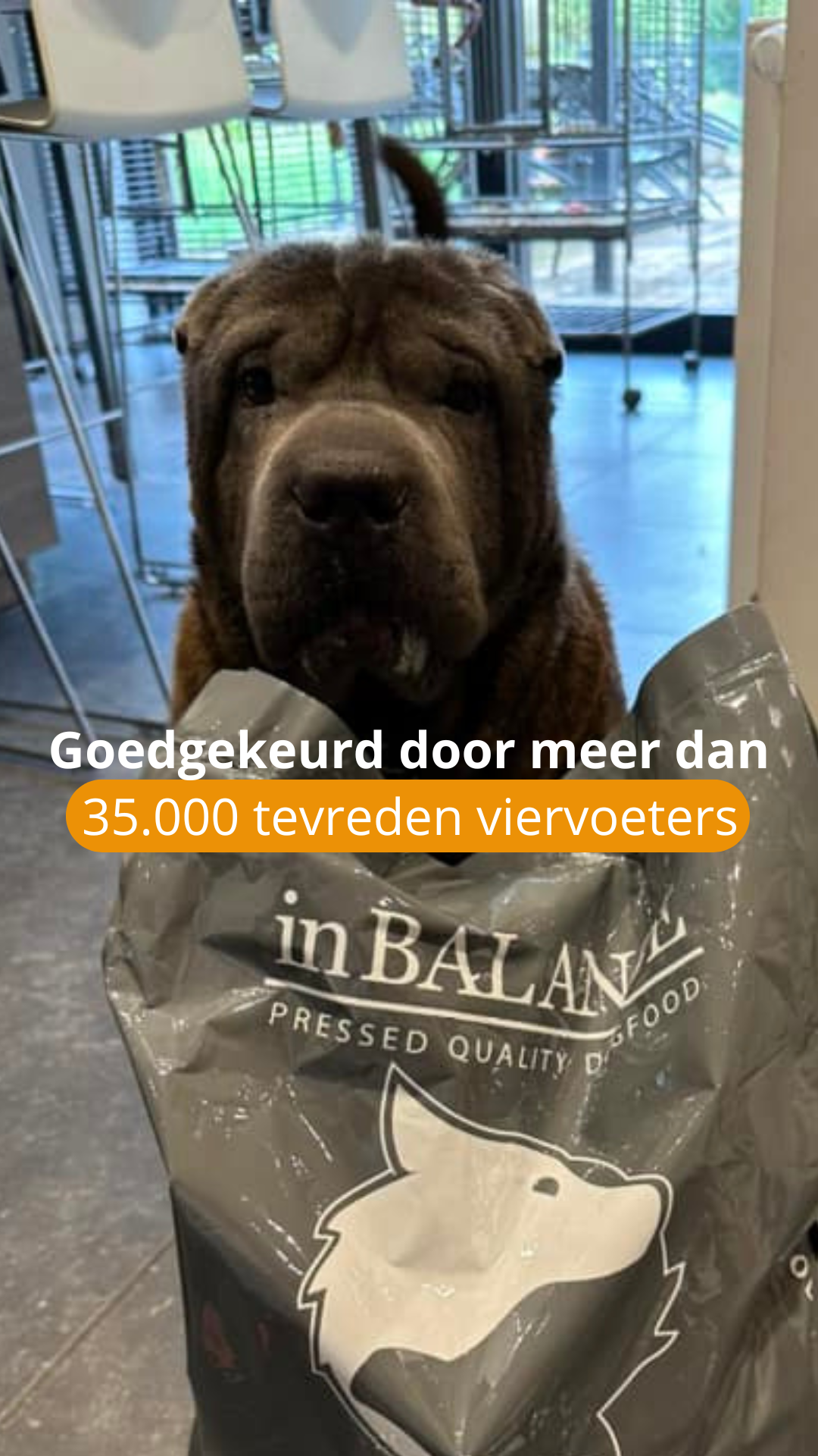 InBalance Facebook ad