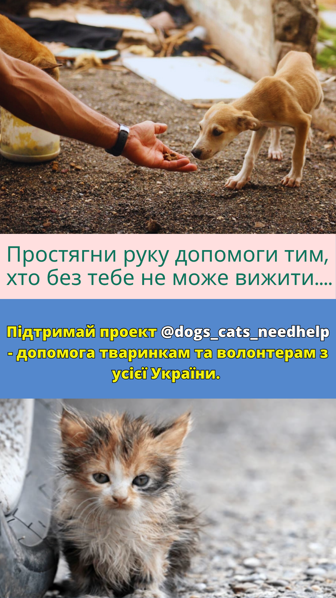 Благодійна допомога тваринам Dogs Cats Need Help Facebook ad from Oct 11, 2025