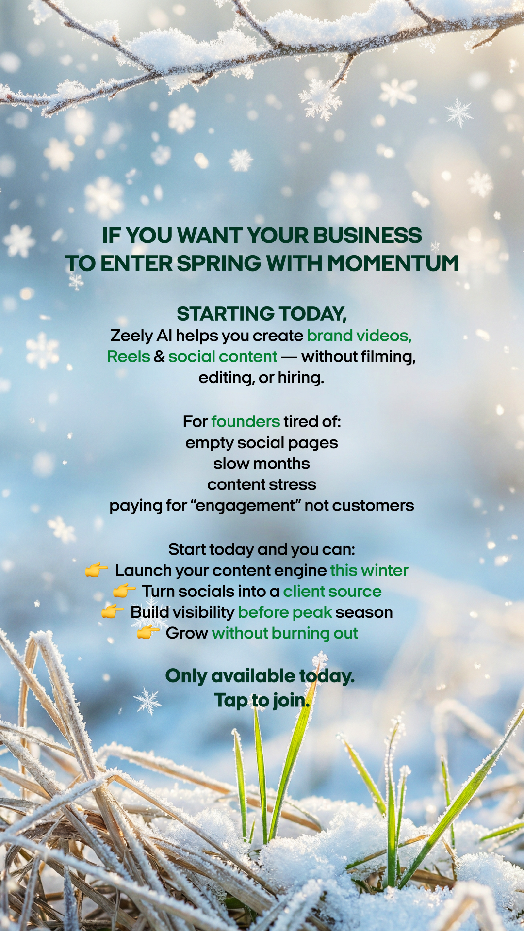 Zeely Facebook ad