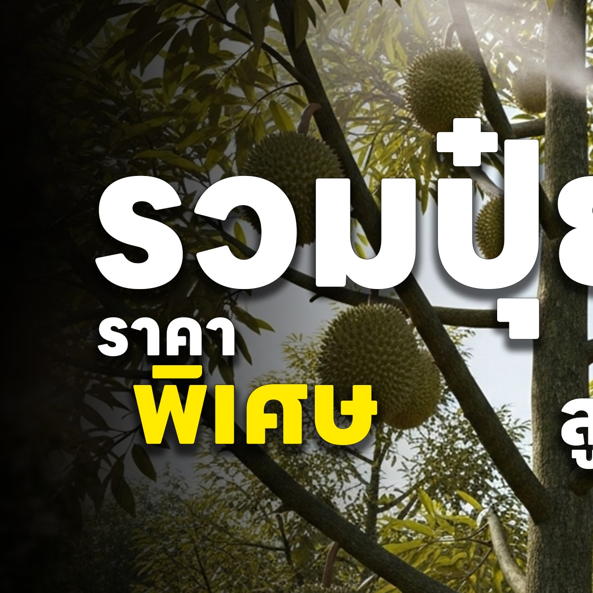 สถาณีเกษตรออนไลน์ Facebook ad