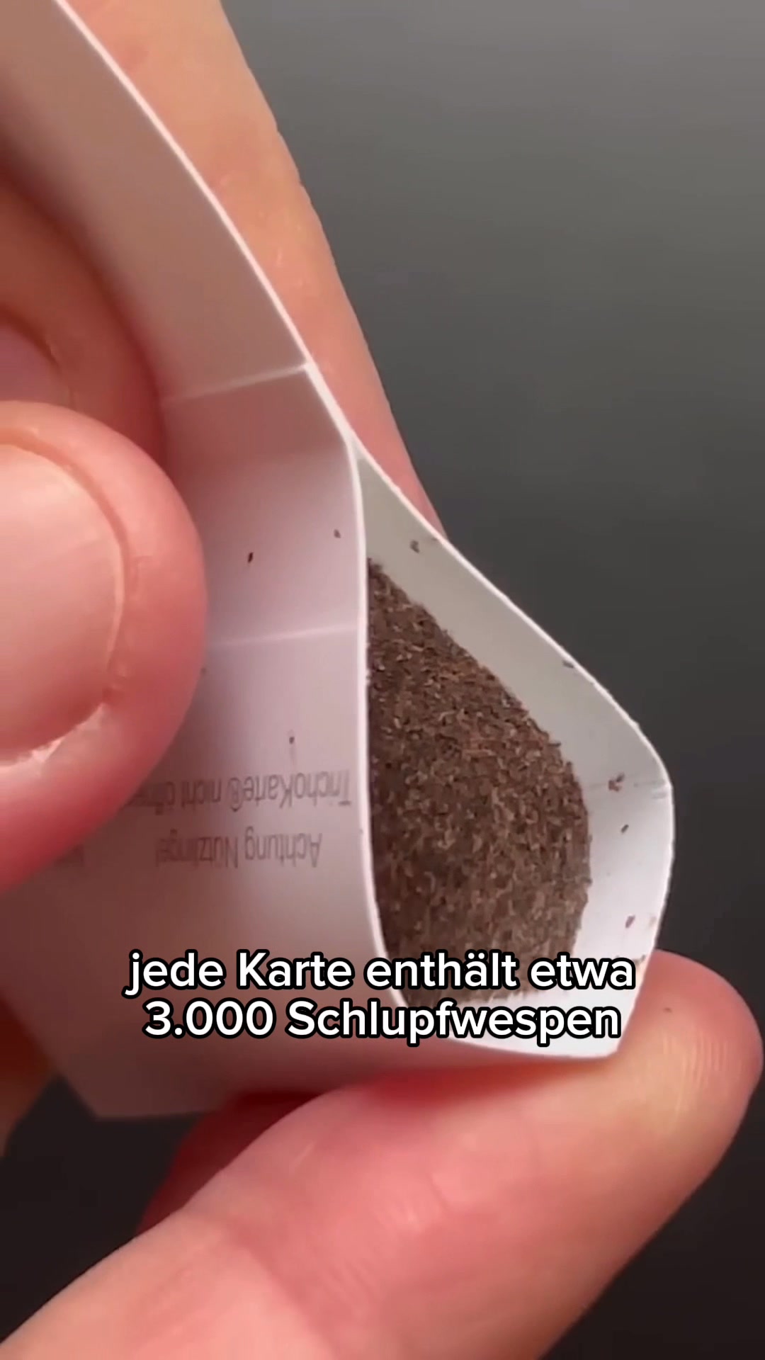 Schlupfwespen-Shop Facebook ad: Mottenfrei, 100% natürlich & ohne Chemie!