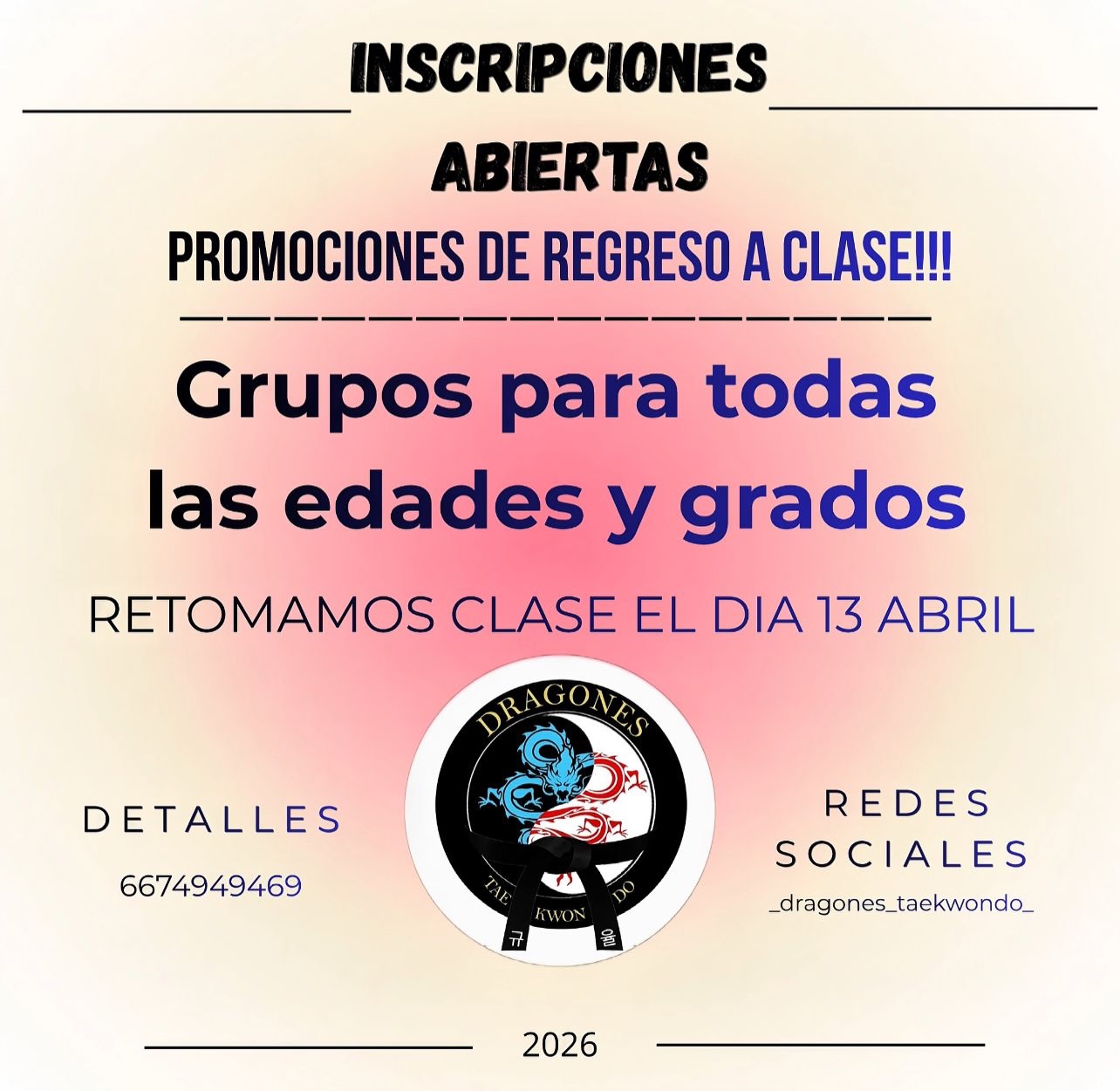 Dragones Taekwondo Facebook ad: Instagram