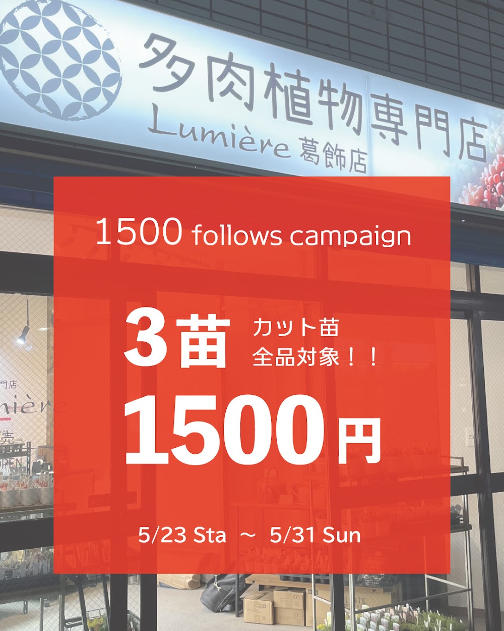 多肉植物専門店Lumière 葛飾店 Facebook ad: 23日から!1500followsキャンペーン