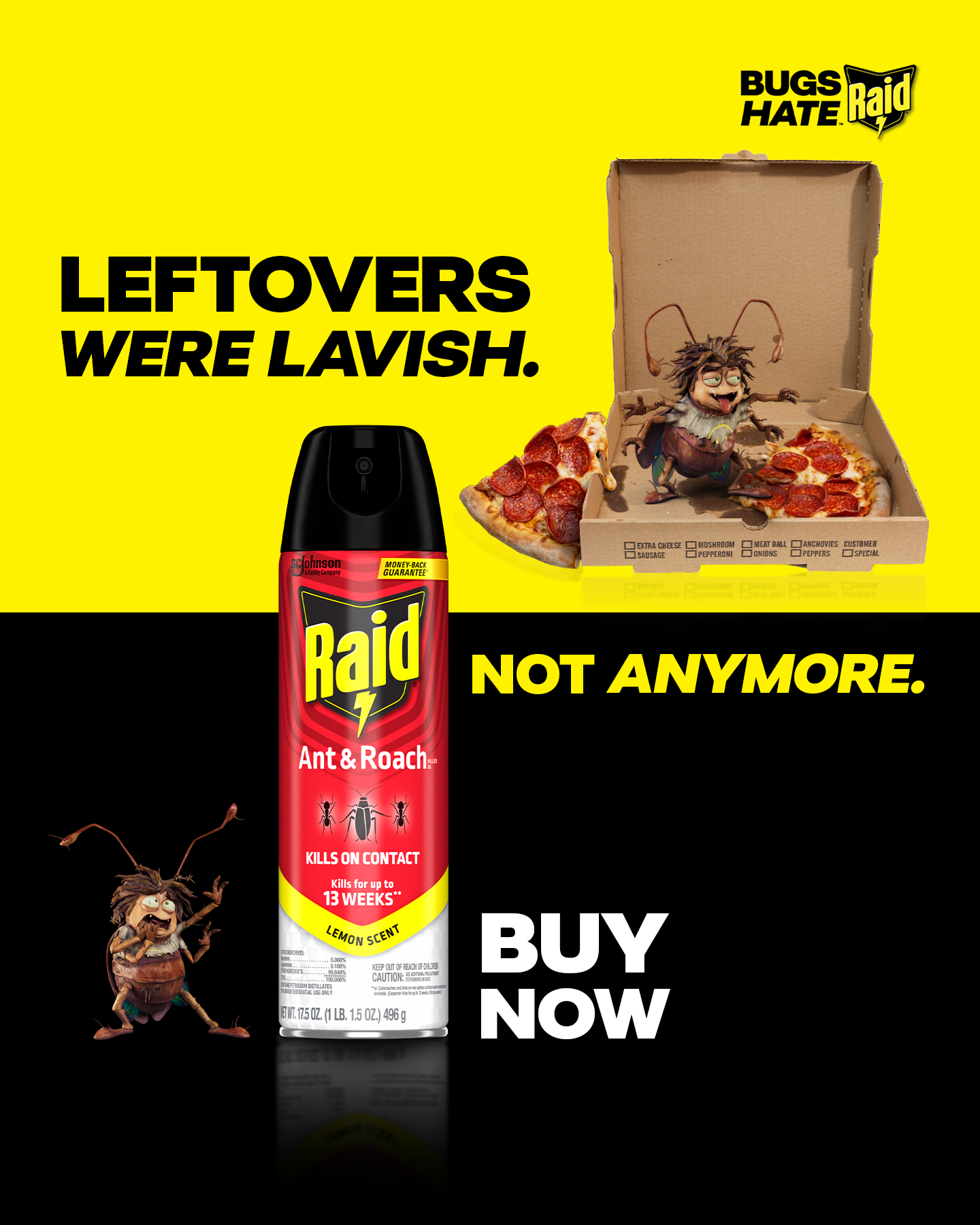 Raid Facebook ad
