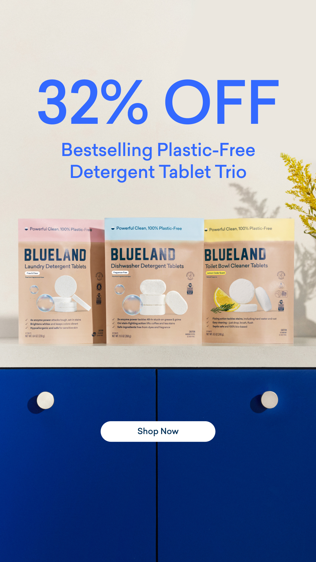 Blueland Facebook ad