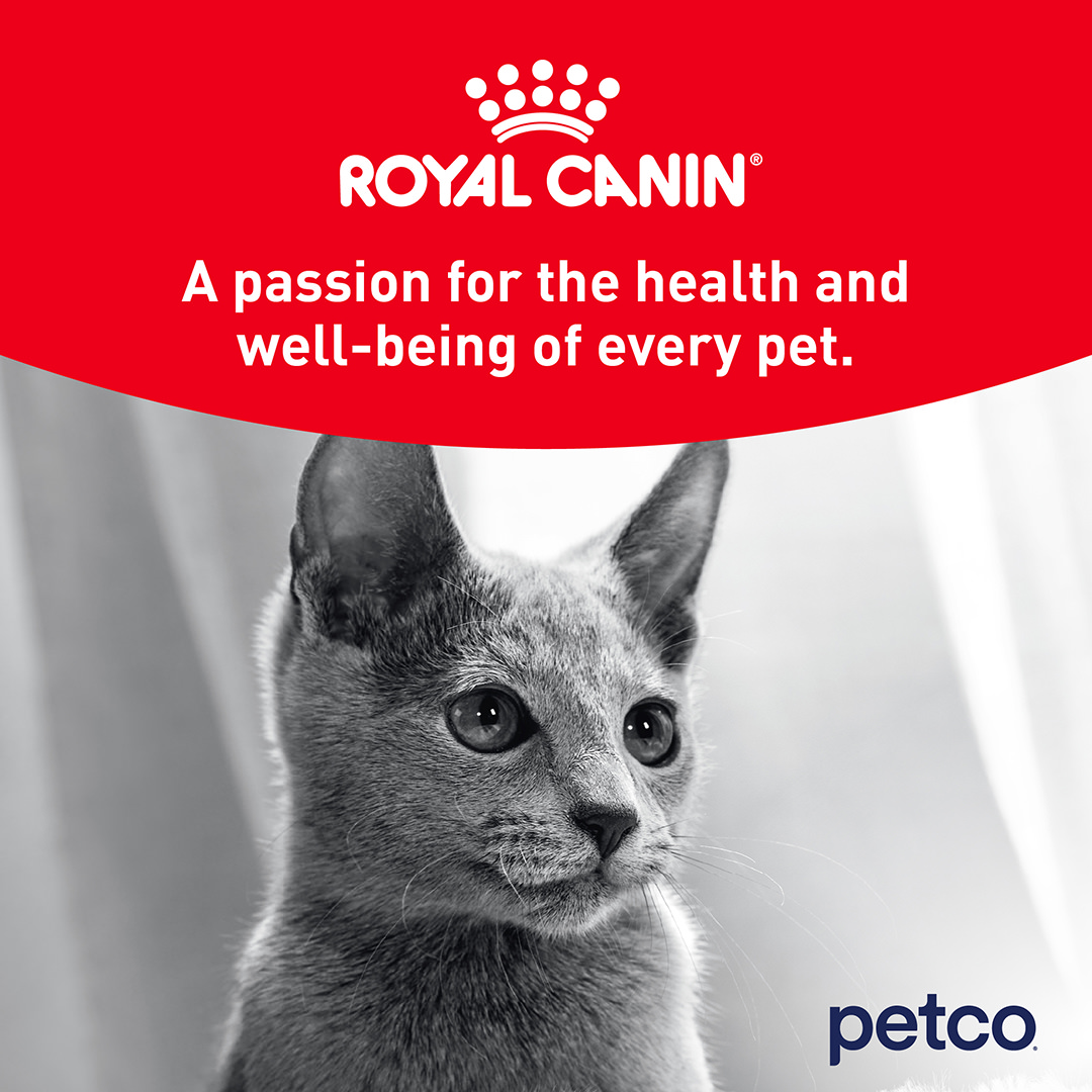 Petco Facebook ad