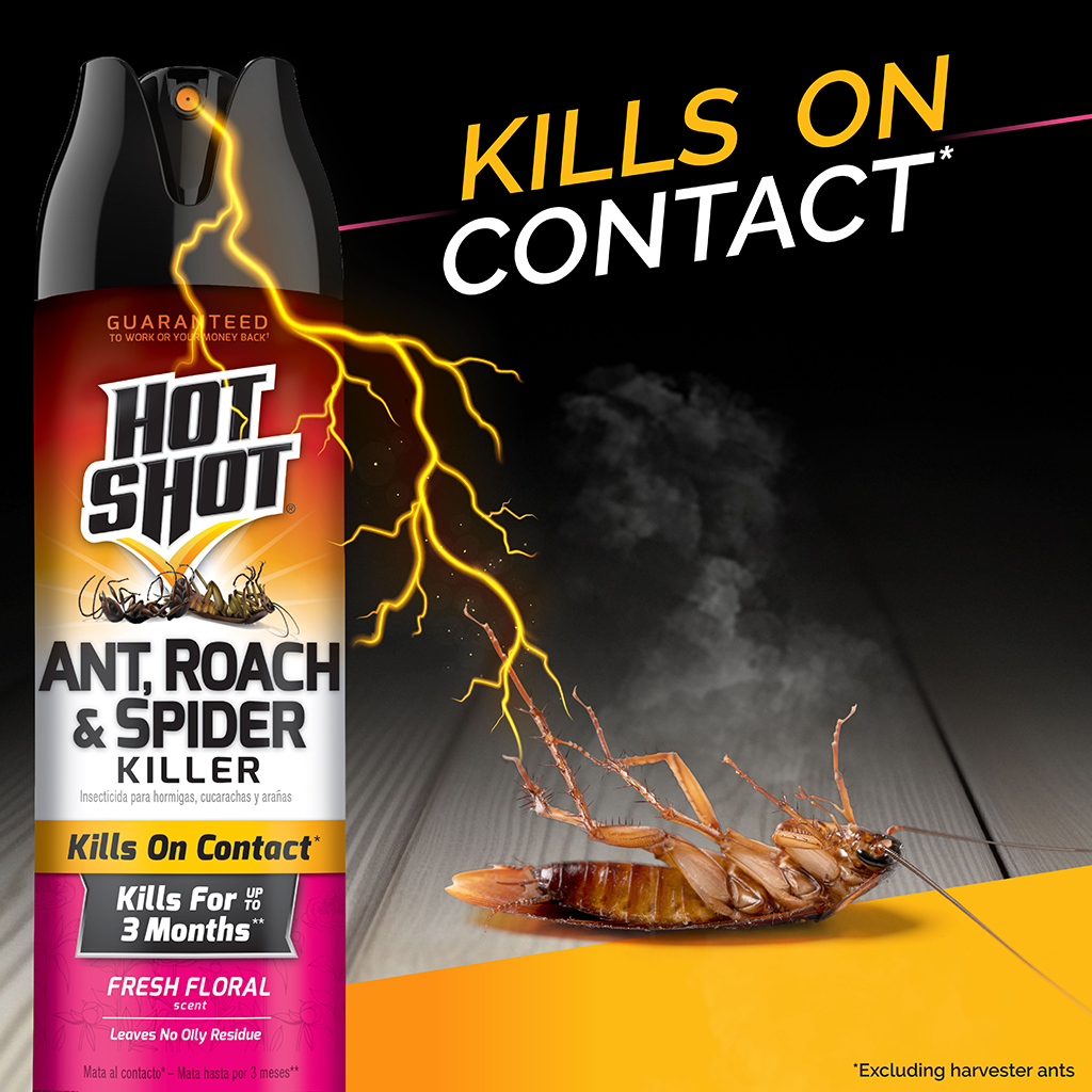 Hot Shot Insecticides Facebook ad