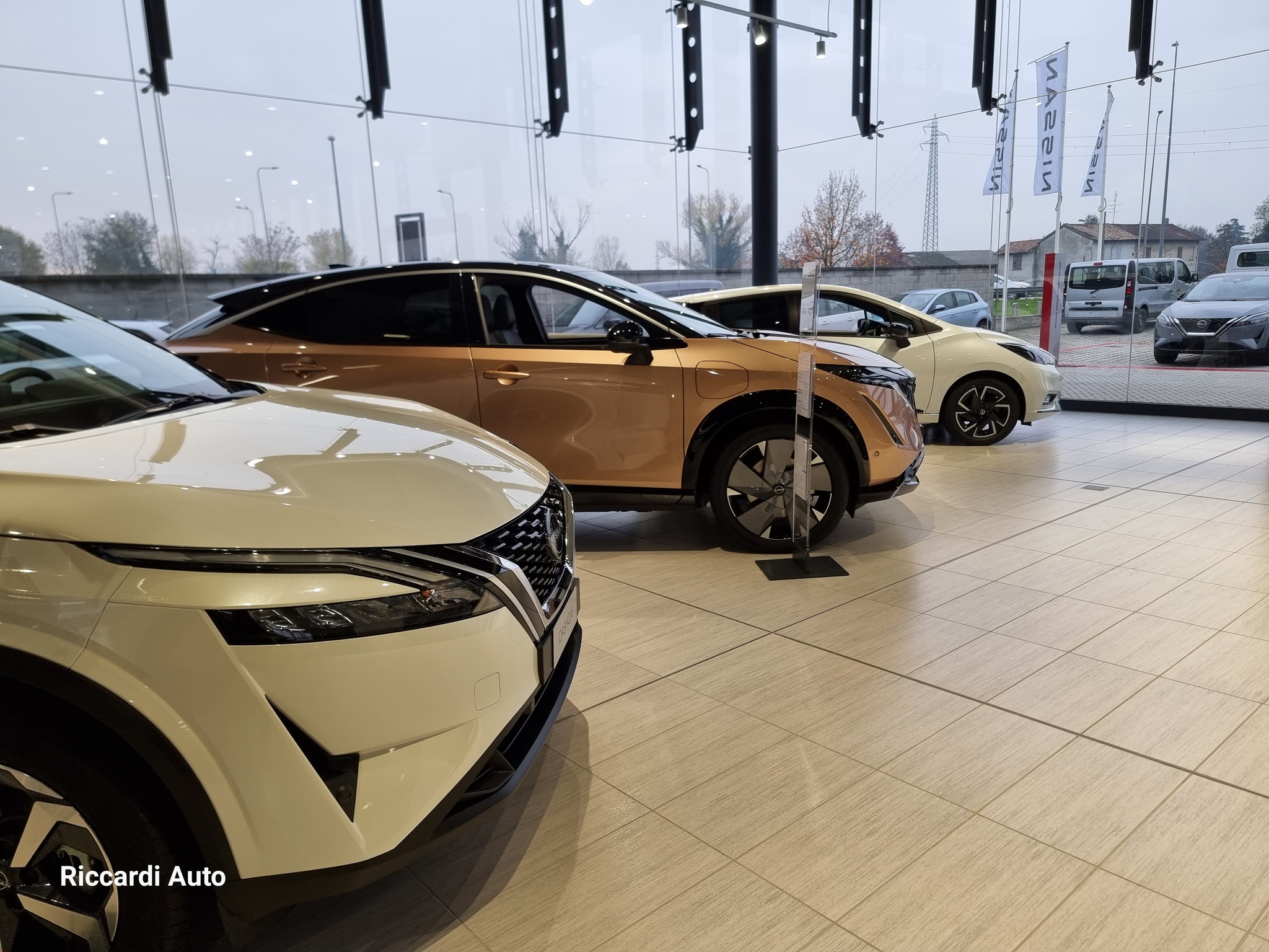 Gruppo Riccardi Auto Facebook ad: Concessionario Opel, Peugeot, Nissan e Citroen.
