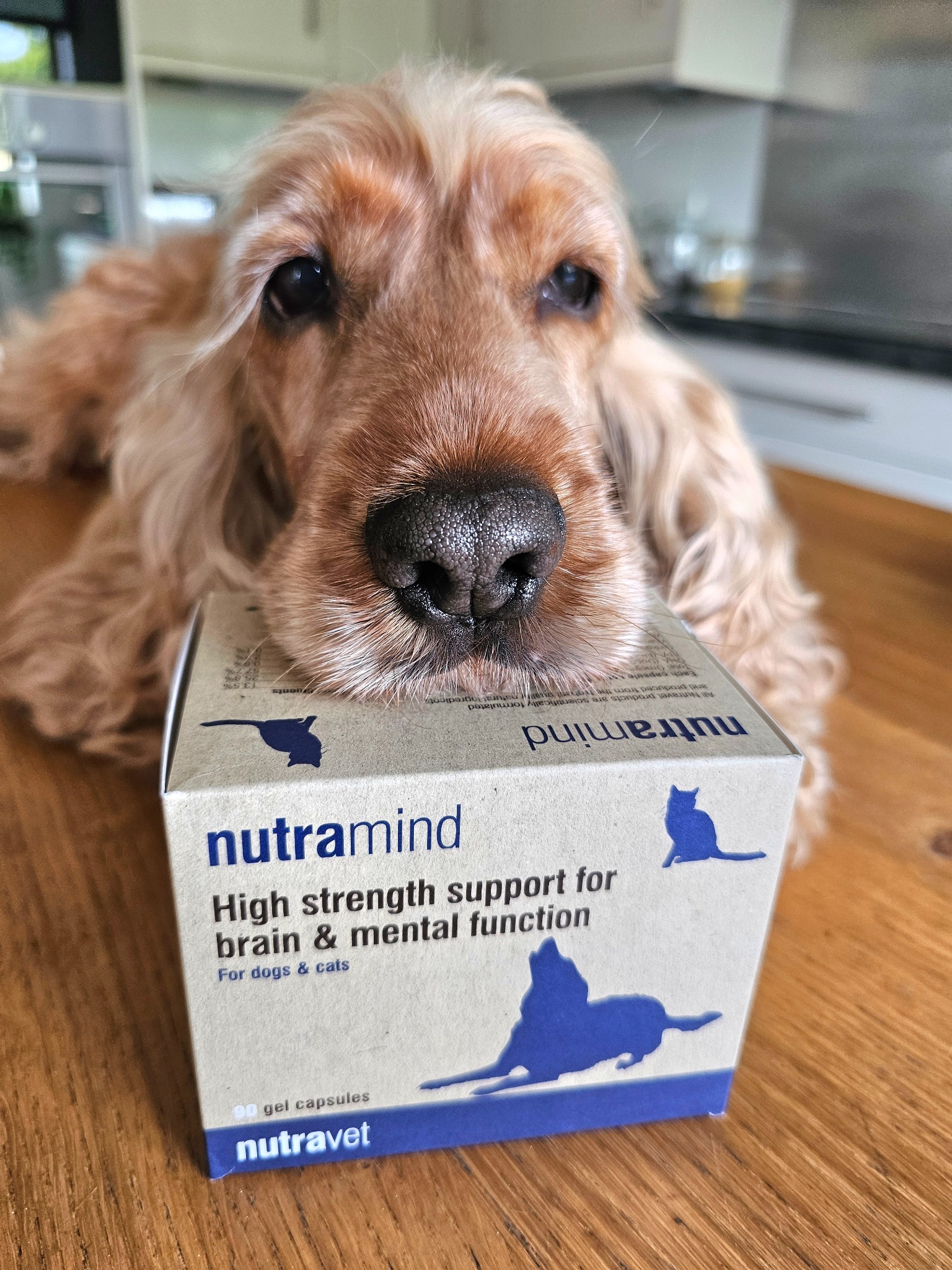 Nutravet Facebook ad