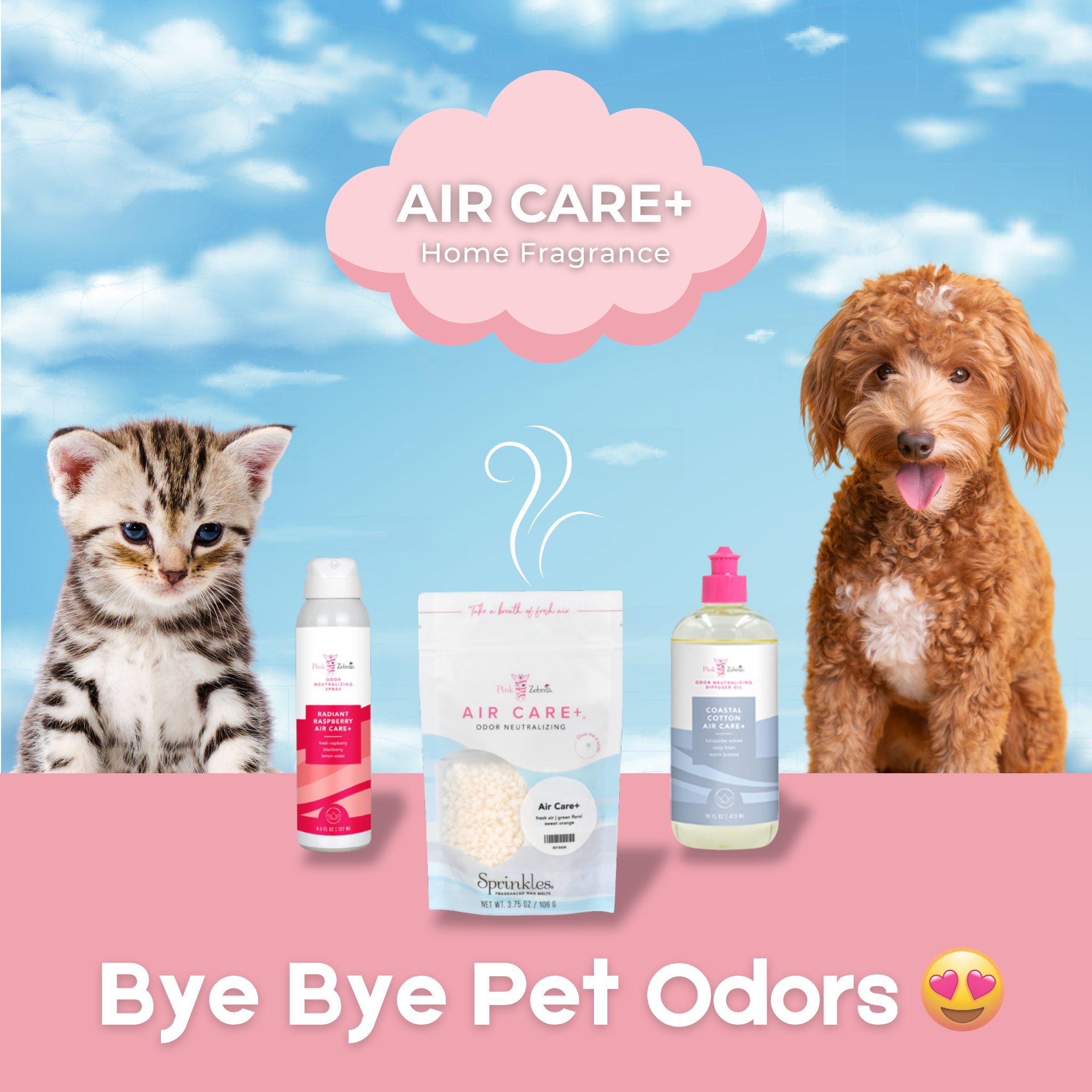 Pink Zebra Home Facebook ad