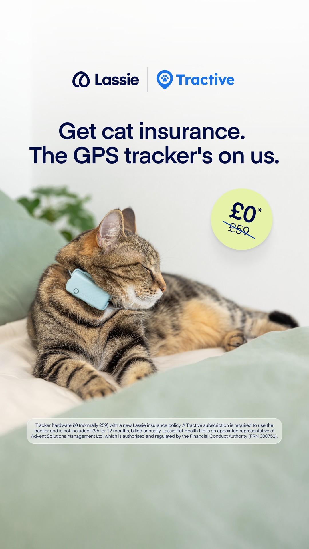 Lassie UK Facebook ad