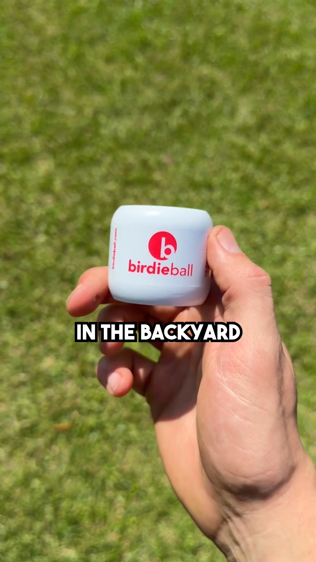 BirdieBall Golf Facebook ad