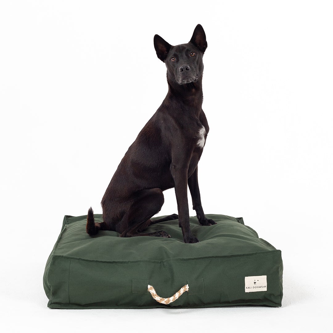 Kali Dogwear Facebook ad