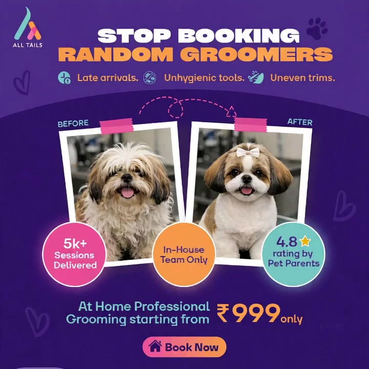 All Tails  Facebook ad