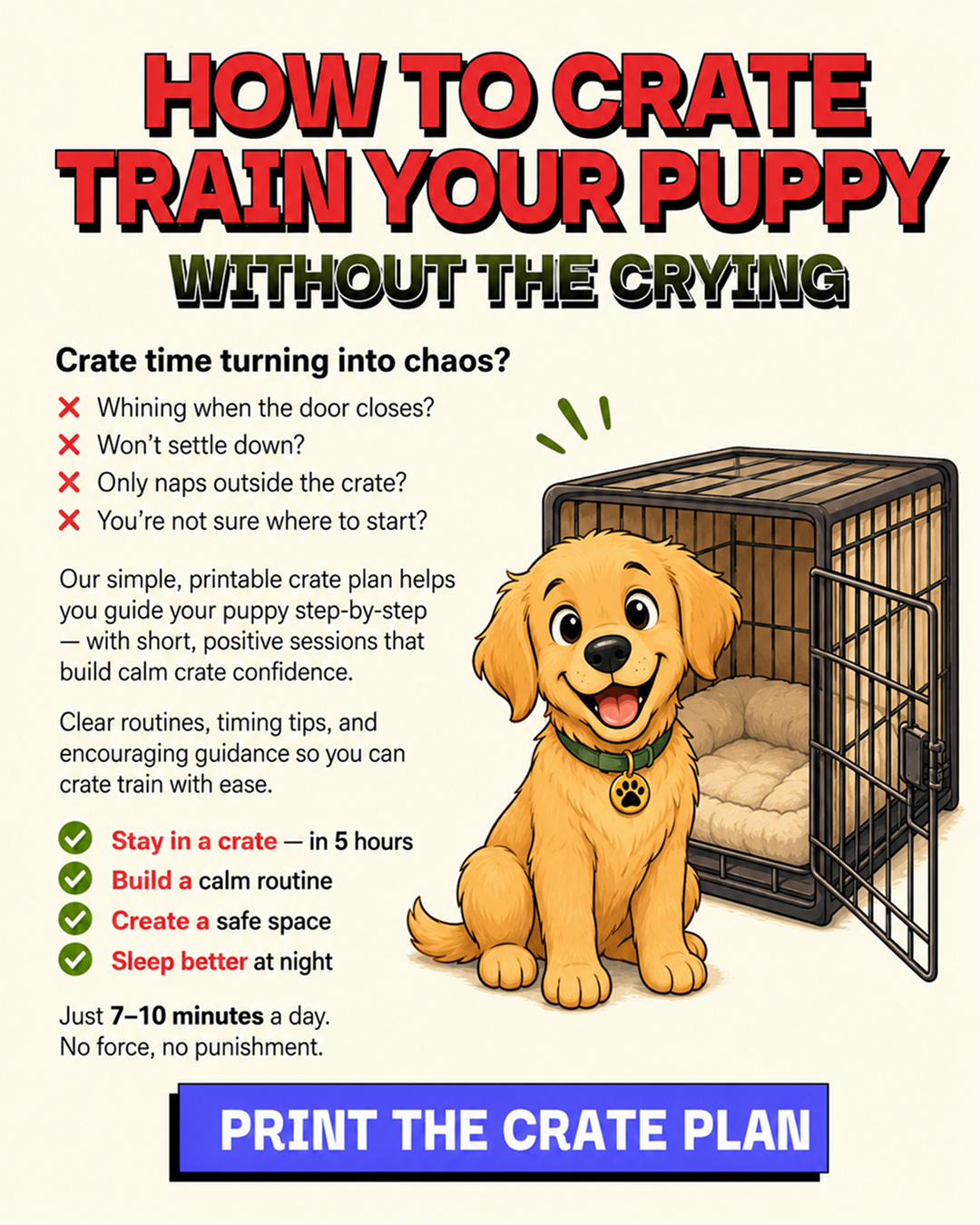 Ben Your Puppy Trainer Facebook ad