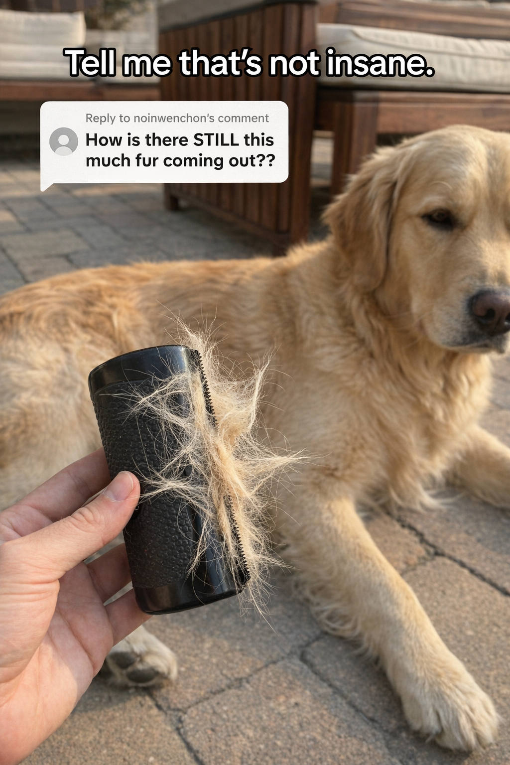 Pet Grooming Specialist Facebook ad from Mar 31, 2026