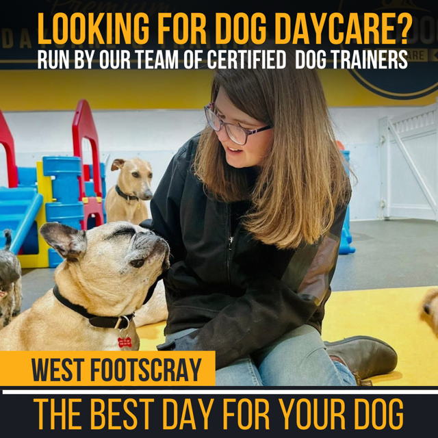 Pro Dog Training Facebook ad