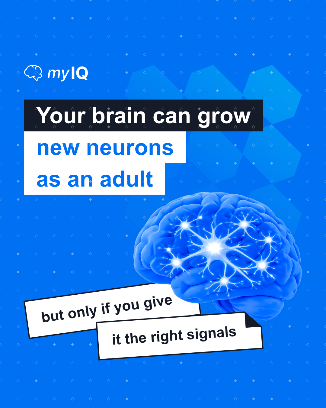 My IQ Facebook ad