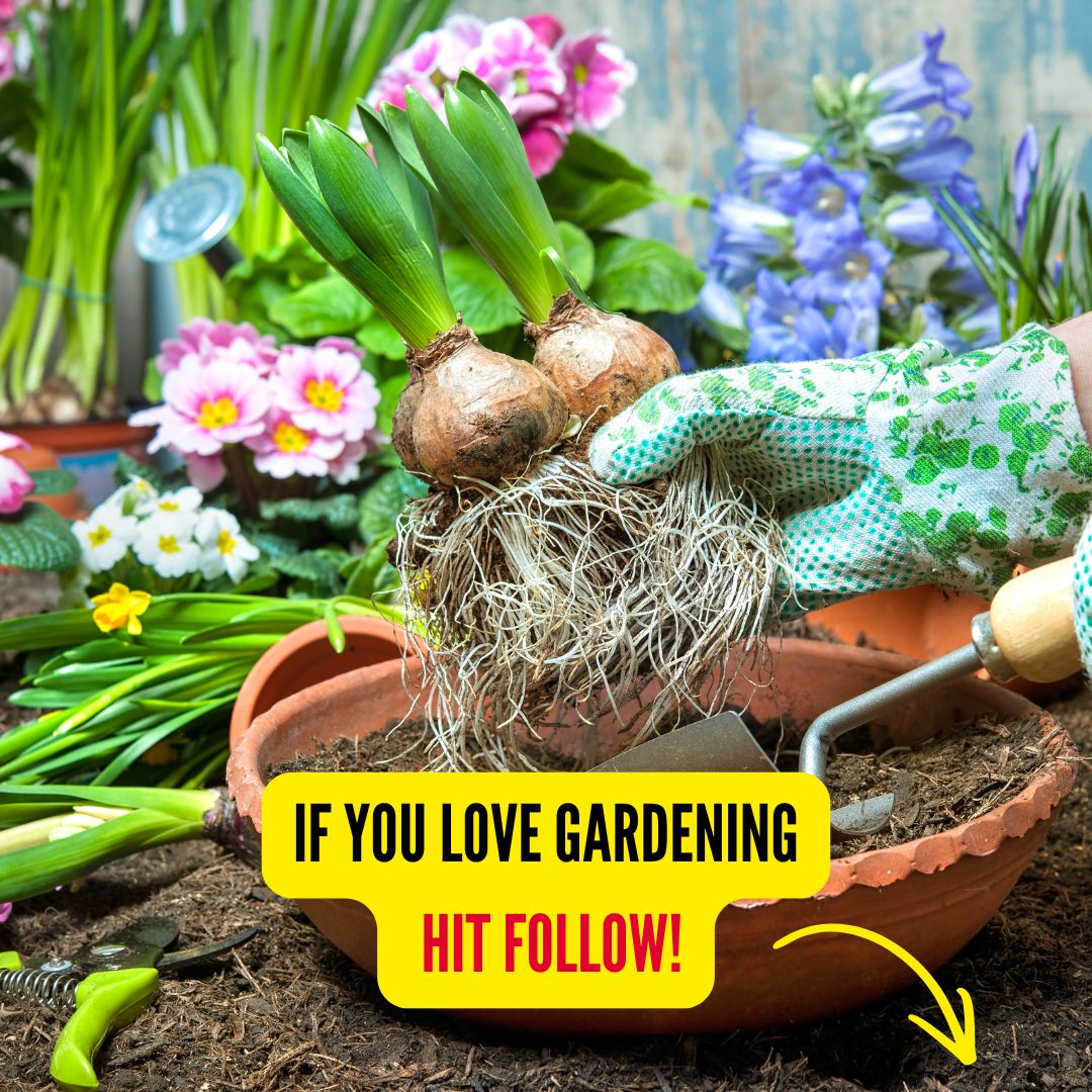 North Carolina Gardener Facebook ad from Mar 23, 2026
