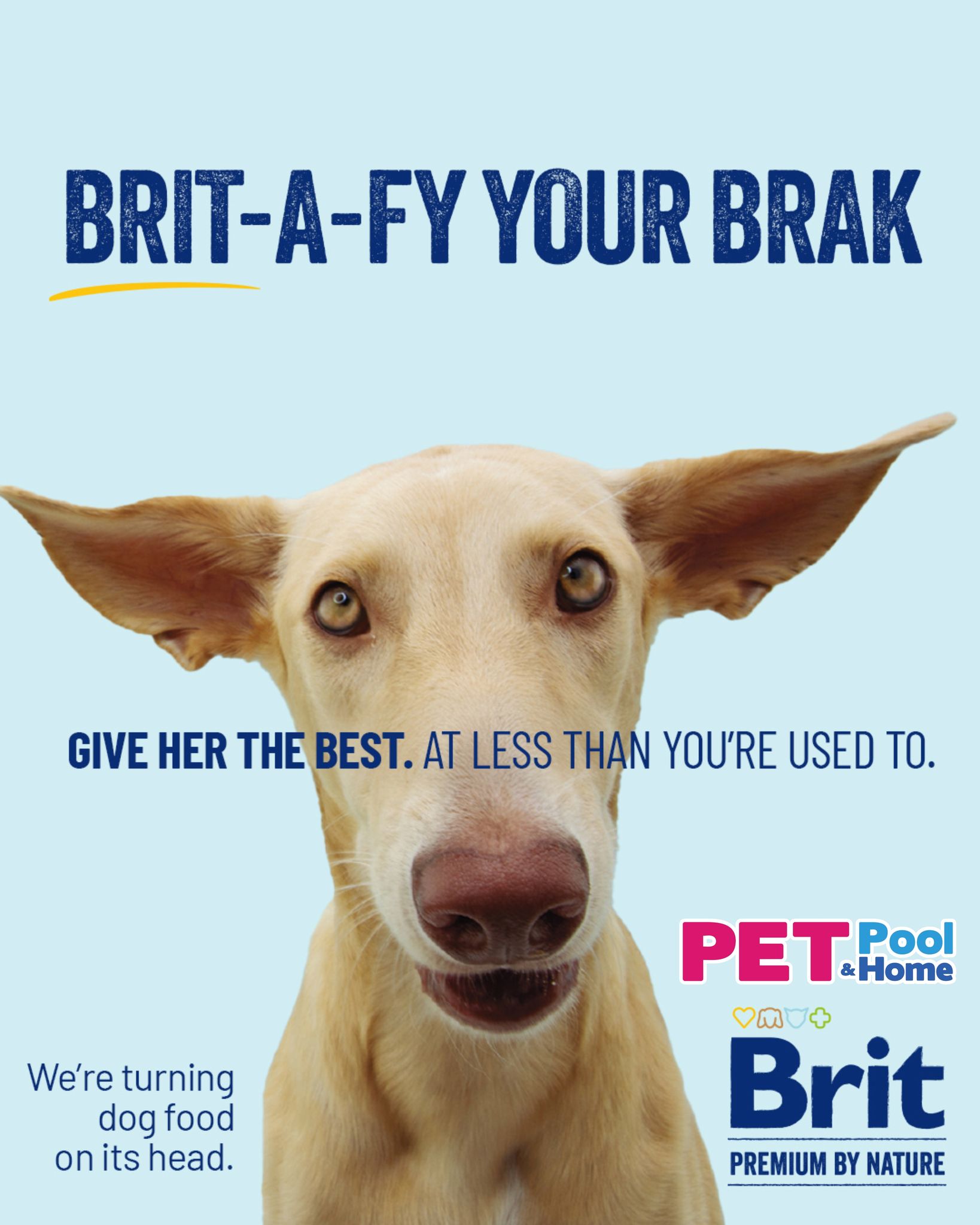 PET Pool & Home Facebook ad