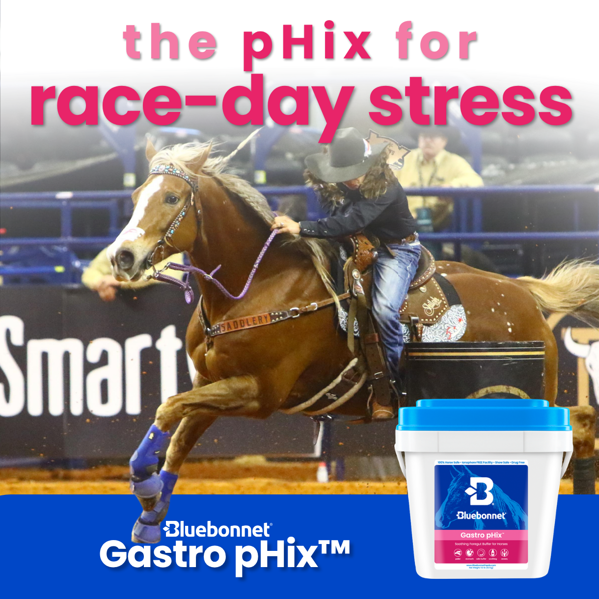 Bluebonnet Facebook ad: Real horse. Real owner. Real results.