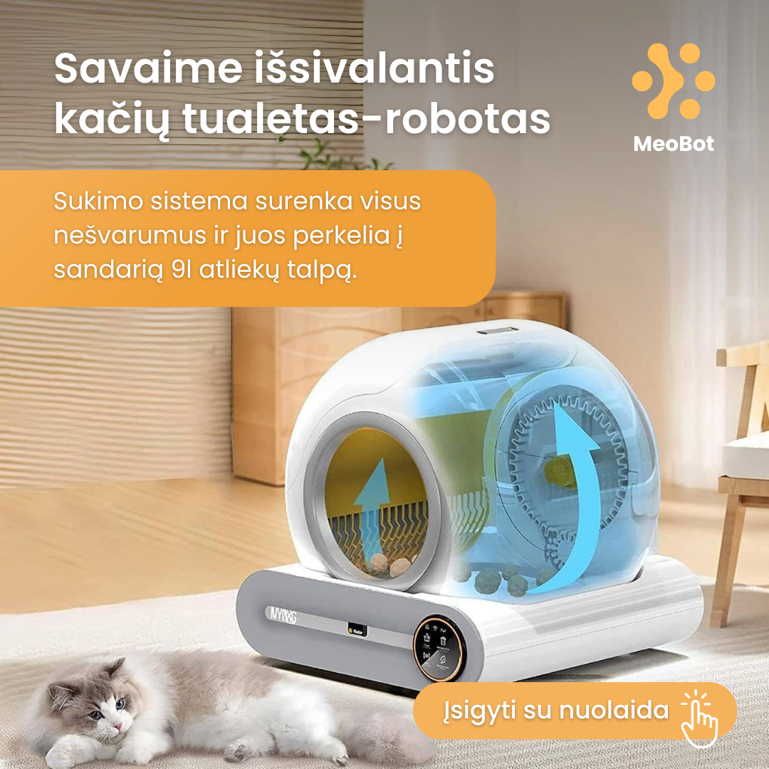 Premiumnamai.lt Facebook ad
