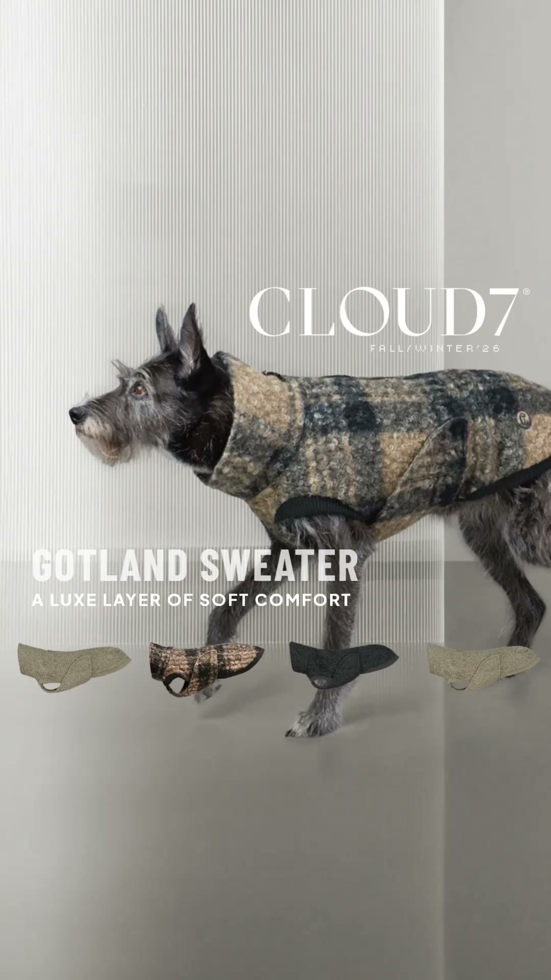 Cloud7 Facebook ad: Discover now