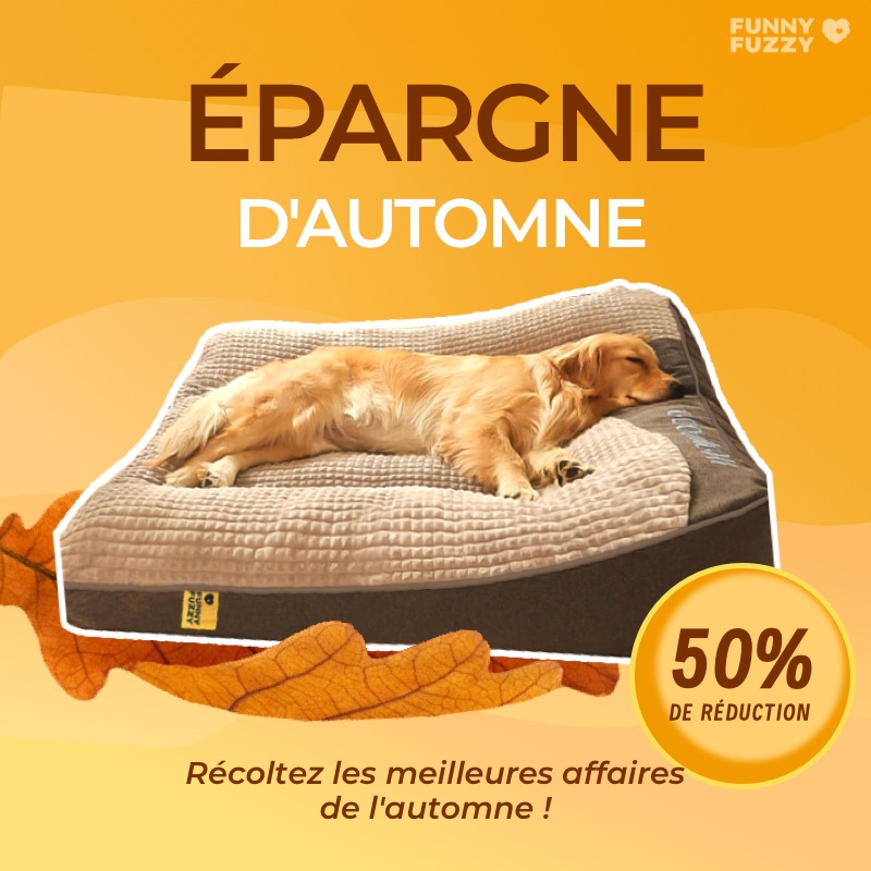 FUNNYFUZZY Facebook ad