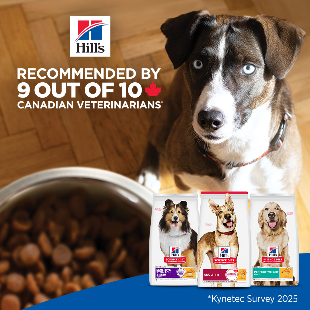 Hill’s Pet Nutrition Facebook ad