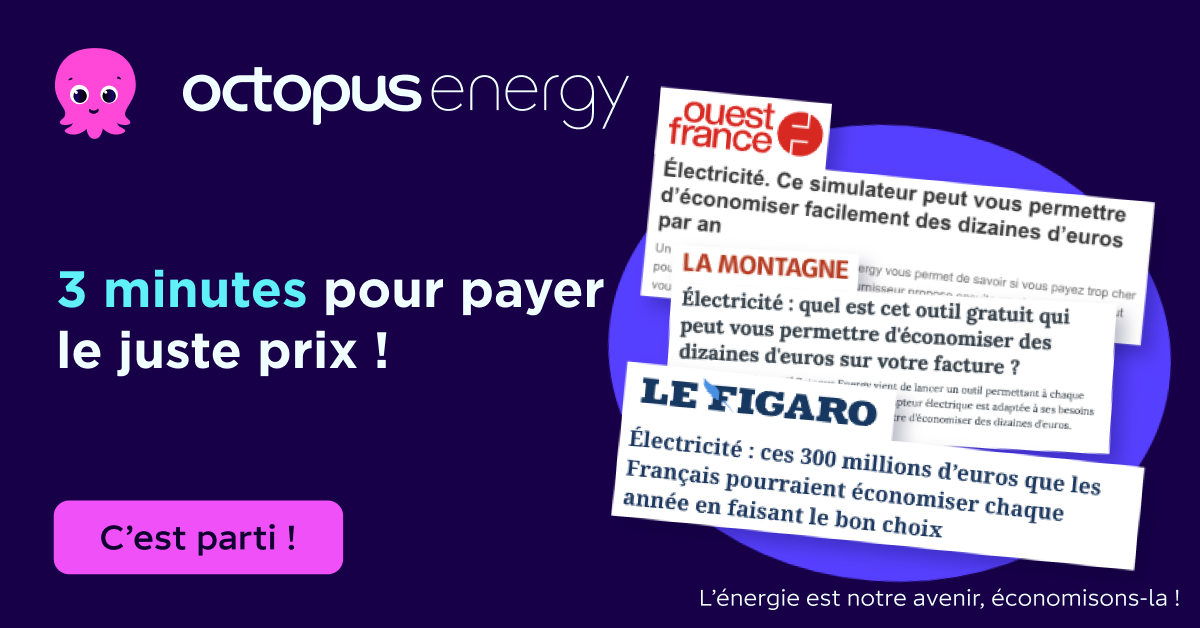 Octopus Energy Facebook ad