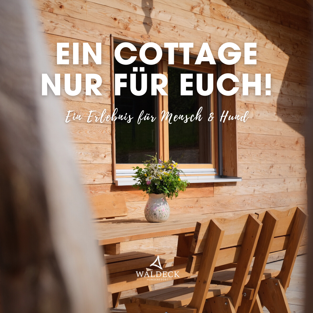 Hunderesort Waldeck Facebook ad: Mitten im Bayerischen Wald, ganz entspannt & ganz…