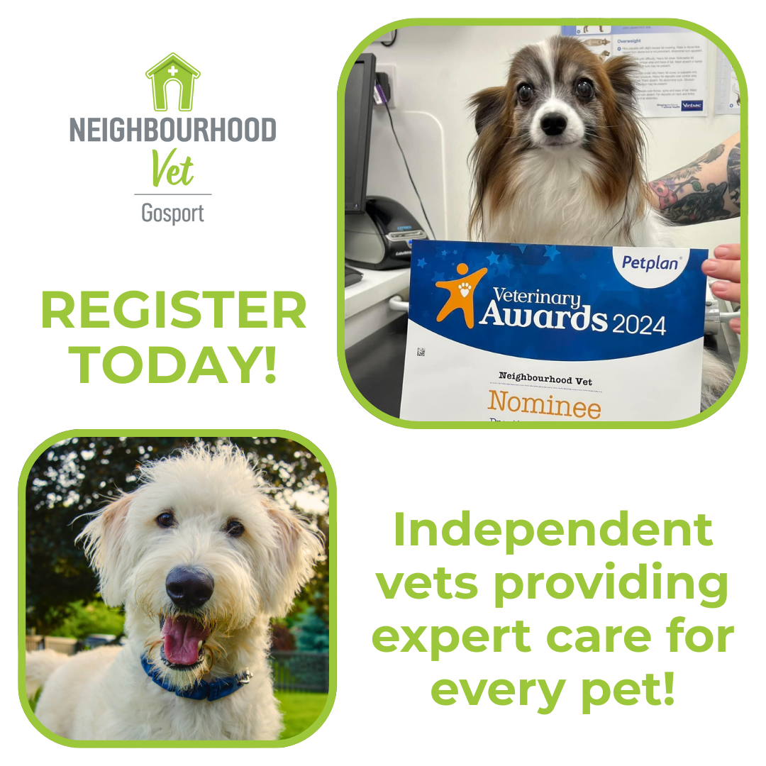 Neighbourhood Vet Gosport Facebook ad